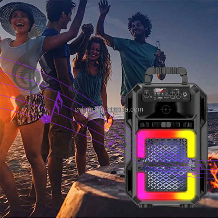 Altavoz Bluetooth portátil Super Bass de 8″ con micrófono con cable