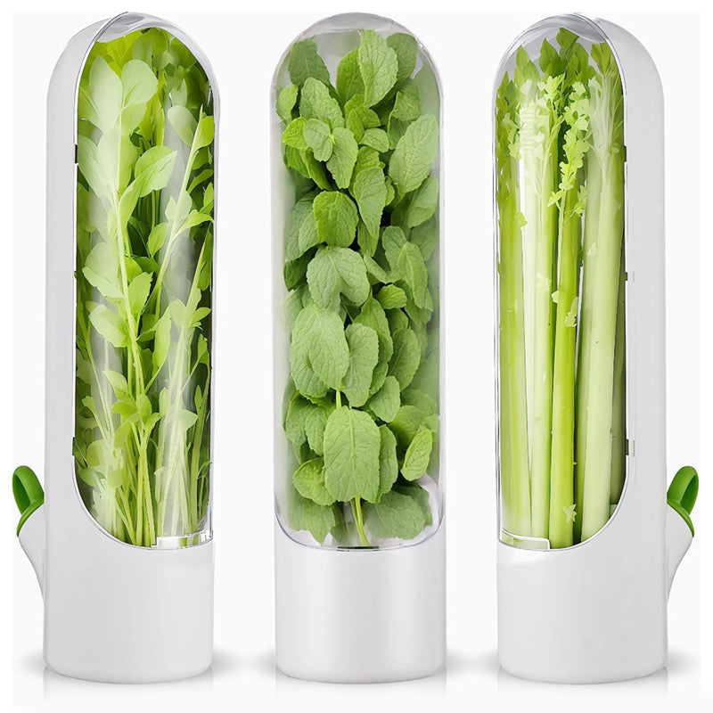 Conservador Hierbas Frescas para Refrigerador,