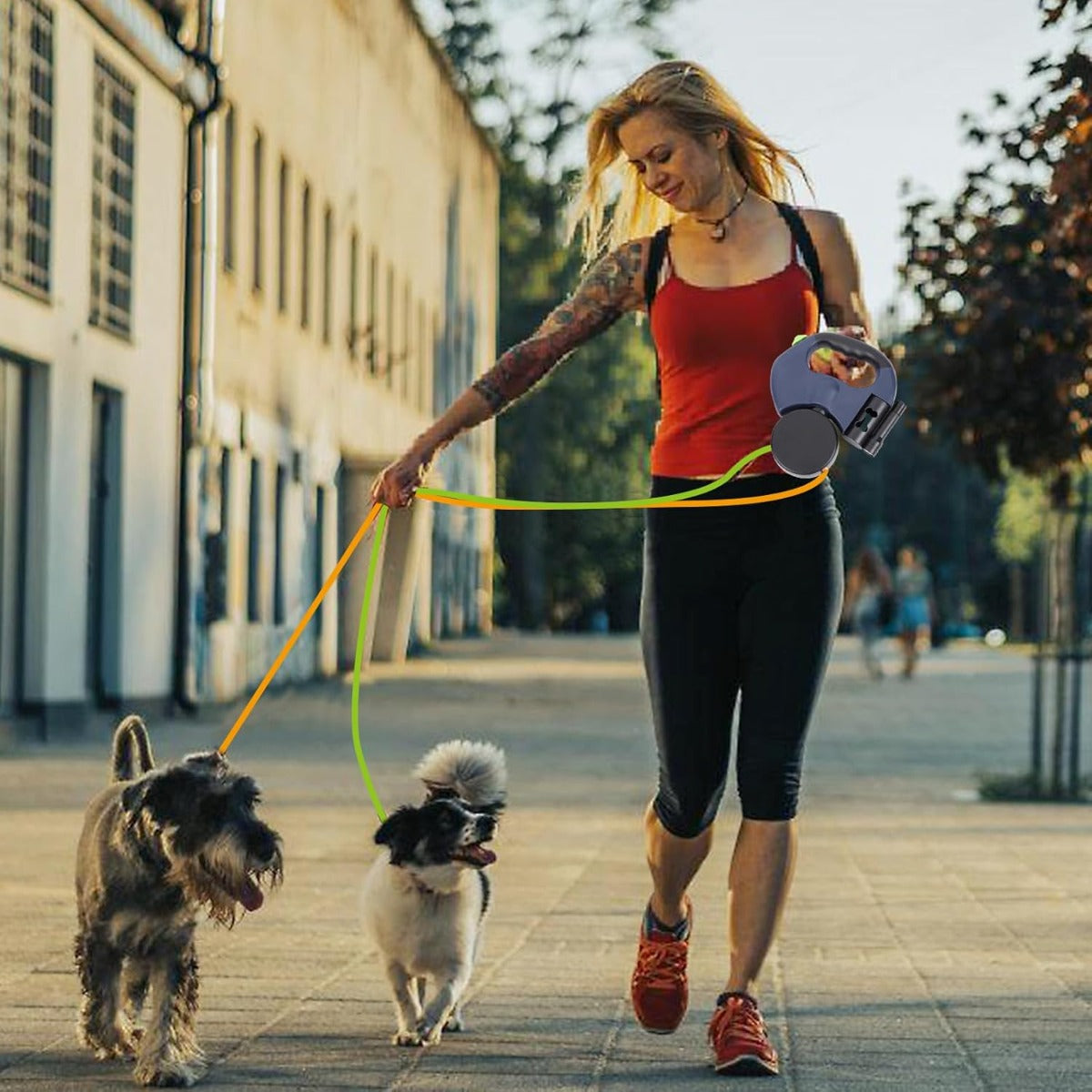 Cuerda extensible para el perro