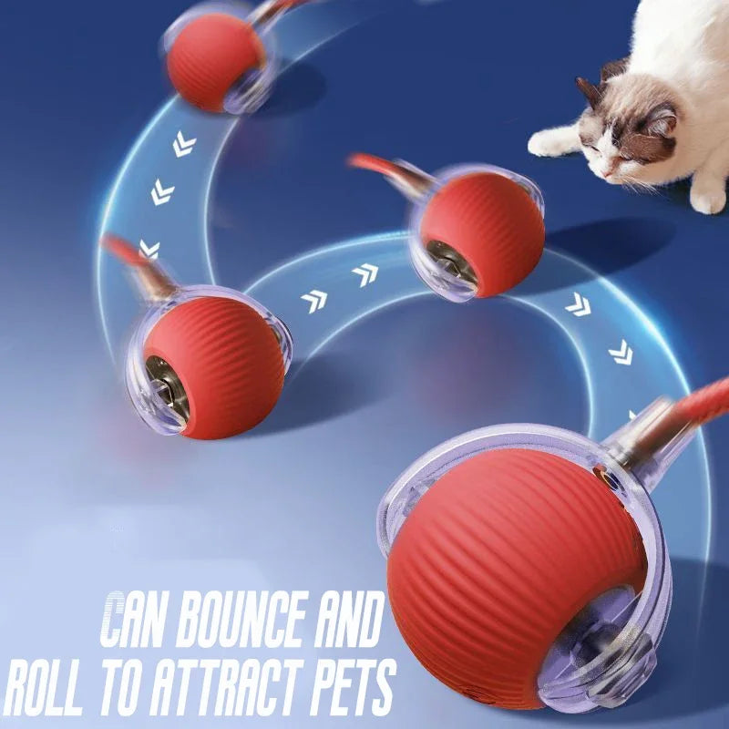 Bola para gatos recargable