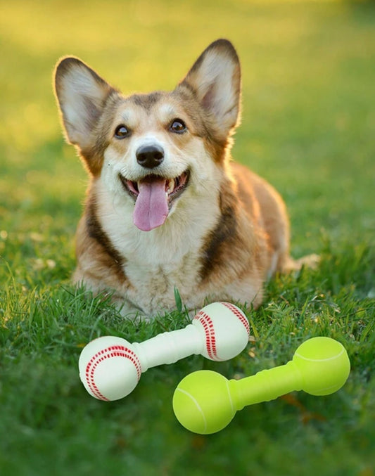 Juguete masticable para mascotas en forma de mancuerna interactivo para limpiar y moler dientes