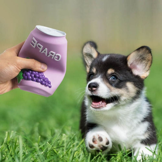 Juguete mordedor con forma de uva