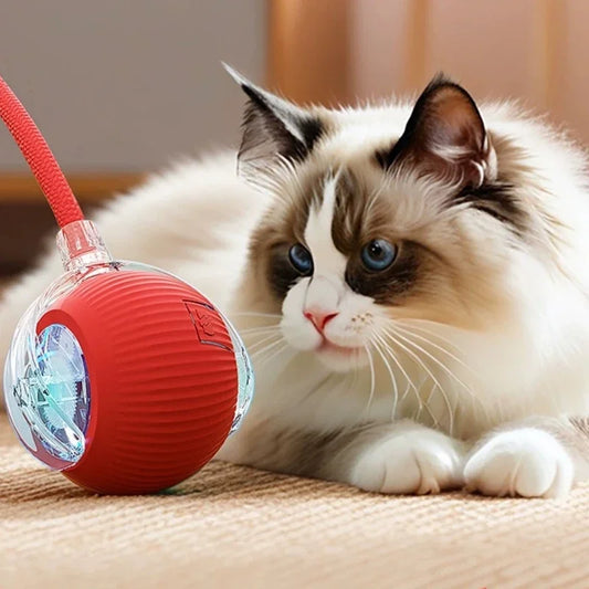 Bola para gatos recargable