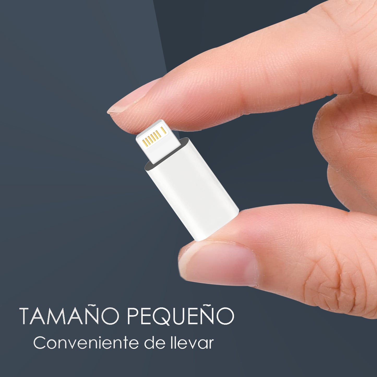 Adaptador LGT macho a TIPO C hembra