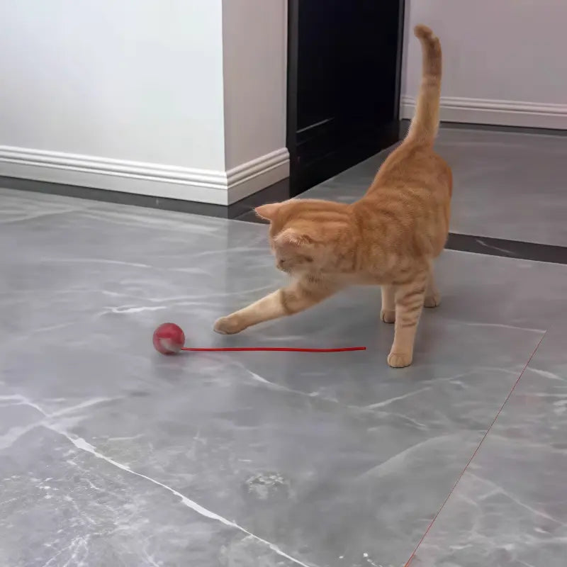 Juguetes para animales