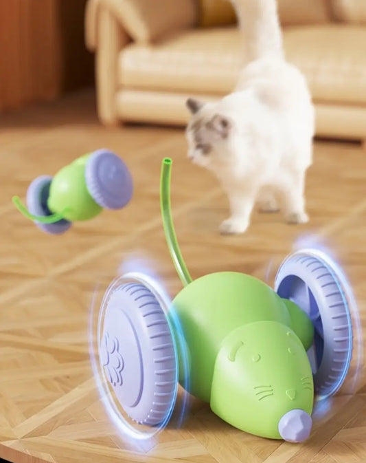 Juegos eléctrico para animales