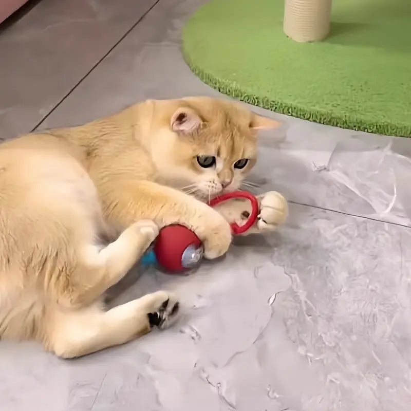 Juguetes para animales