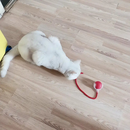 Juguetes para animales